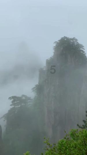 记者追踪: 万铂环境科技集团,凭什么欠薪4个月?